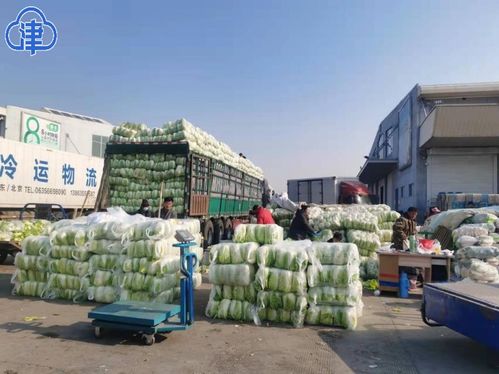 三天千里驰援 900吨天津鲜蔬鲜肉紧急调运西安保障民生